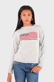 "Flag" sweater grey