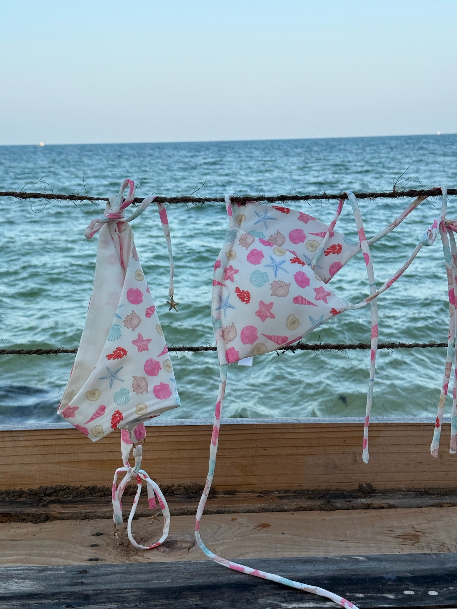 "Seashell" bikini top